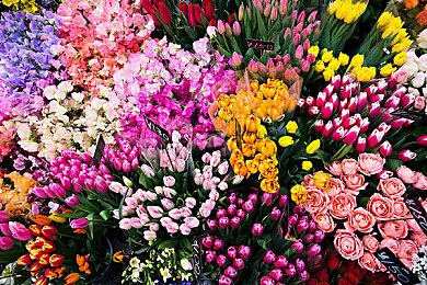 爆款中世纪类塔科夫游戏《至暗时刻》Steam免费开玩，9月6日全新赛季，冒险刻不容缓！